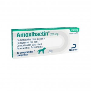 amoxibactin 10cpr 250 mg