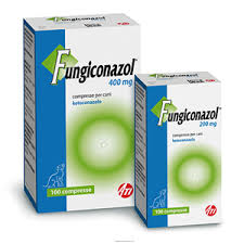 FUNGICONAZOL 10CPR 200MG