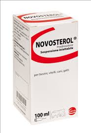 NOVOSTEROL 100ML