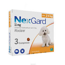 NEXGARD CANE 3CPR 11MG 2-4KG