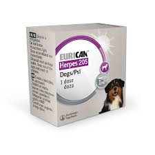 EURICAN HERPES MONODOSE