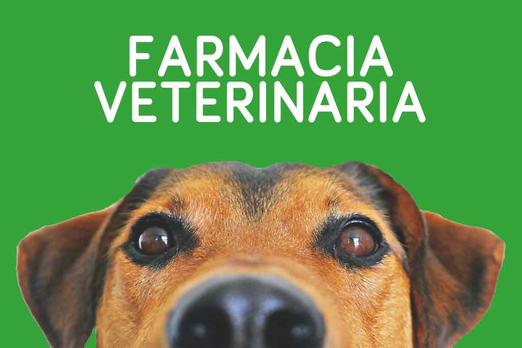 Soluzioni Infusionali