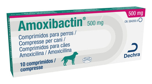 amoxibactin 10cpr 500 mg