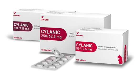 CYCLANIC 100cpr 250mg + 62.5mg
