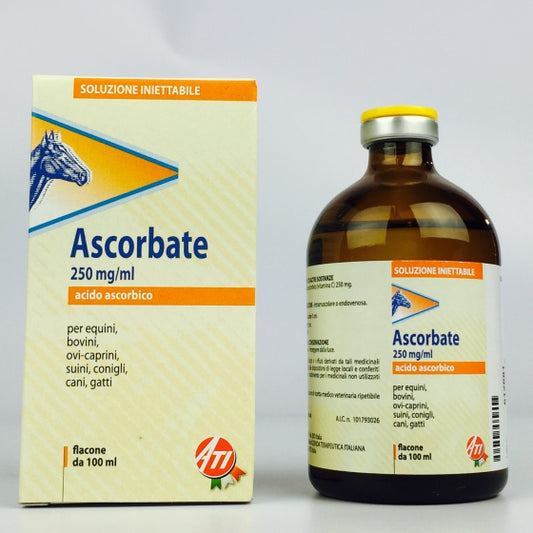 Ascorbate IM/EV 1FL 100ml