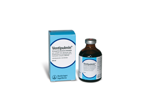 VENTIPULMIN EQUINI SCR 355ml