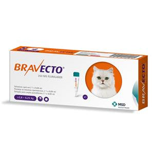 Bravecto Plus 1 Pip Gatto 250Mg