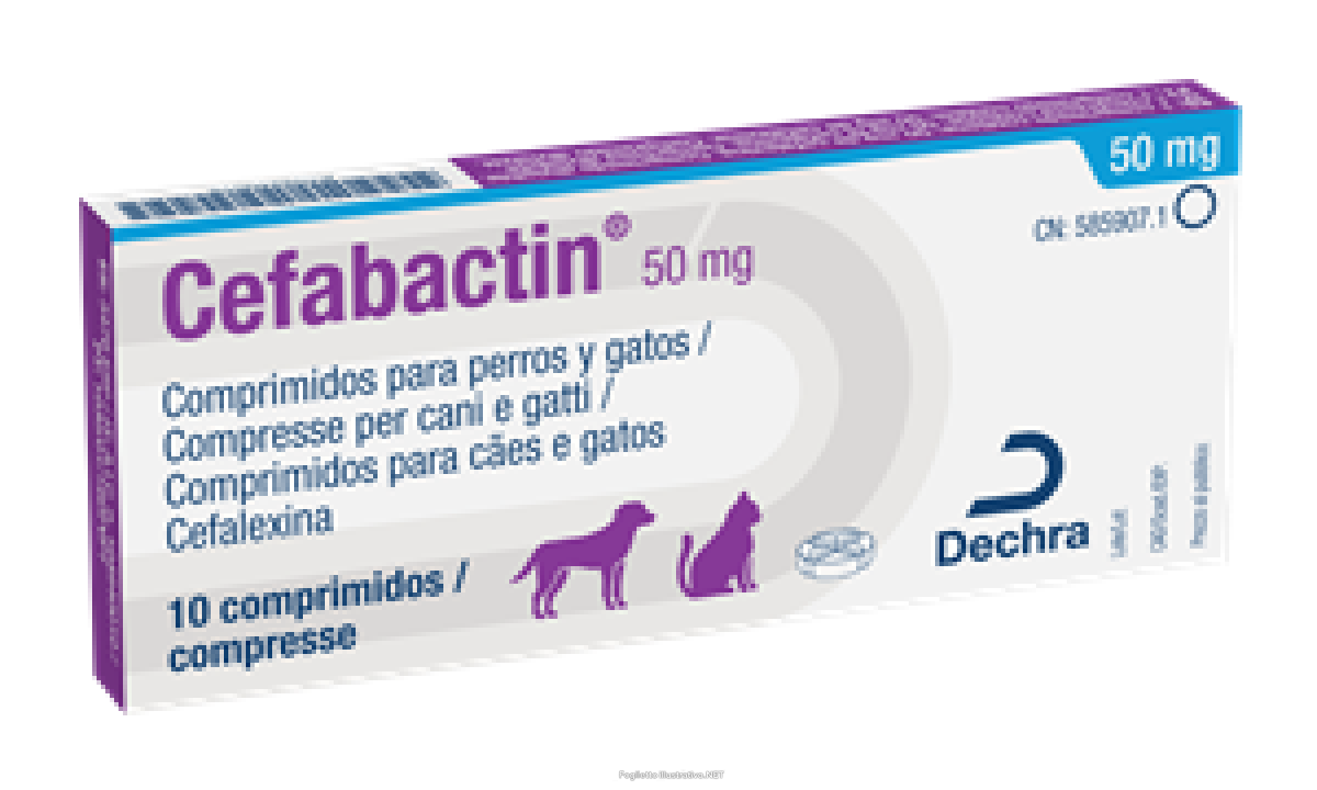 Cefabactin 10cpr 1000mg