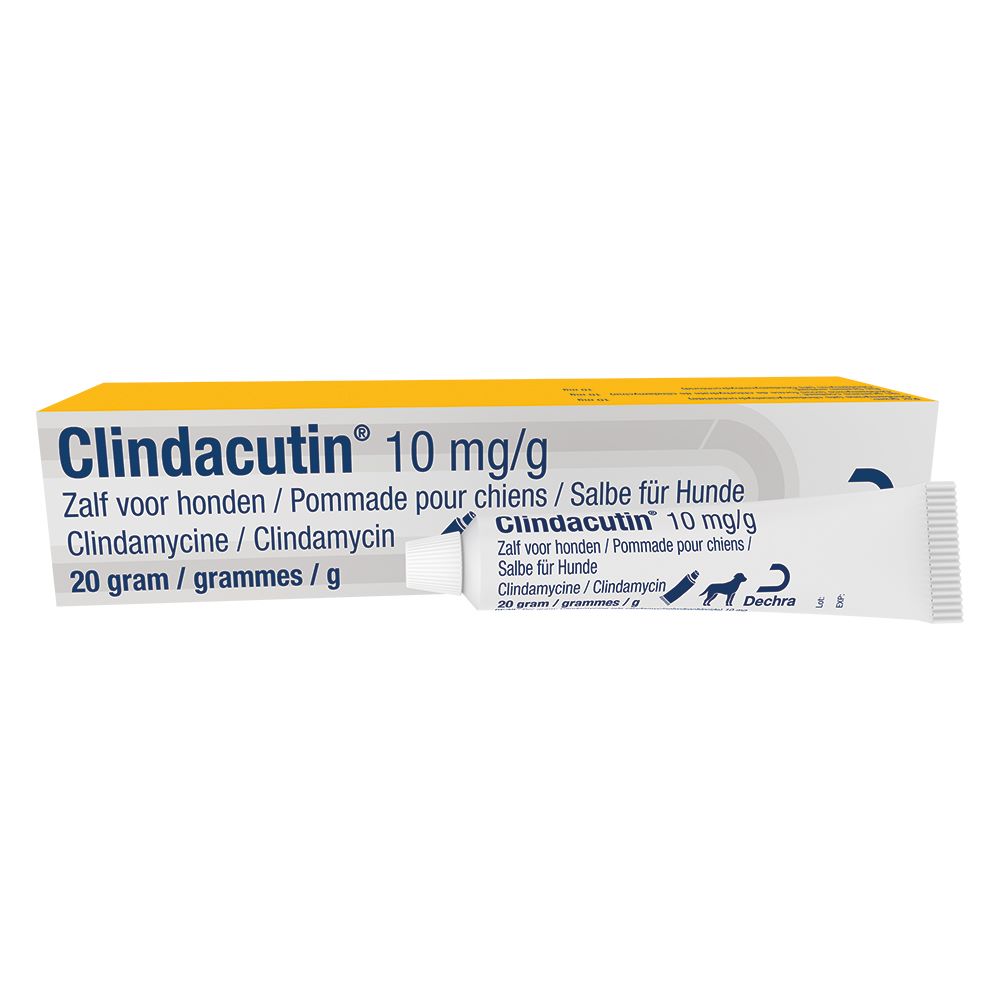 clindacutin pasta 10 mg/g 20g