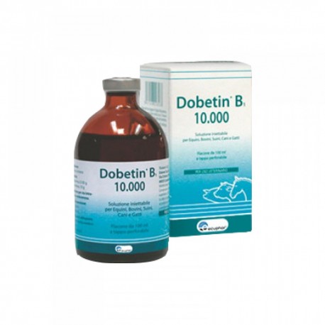 DOBETIN B1 100ML