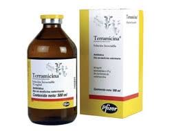 TERRAMICINA 100 - 100ML