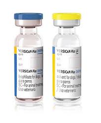 VERSICAN PLUS DHPPI/L4 25DS (2°-8°)
