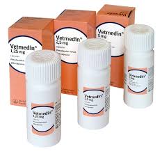 VETMEDIN 100CPR 5MG