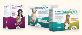 YOUACT ENTERO 30 BST CANE E GATTO