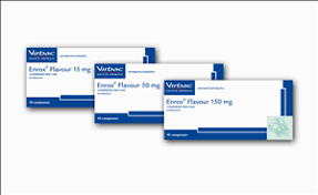 ENROX FLAVOUR 10CPR 50MG