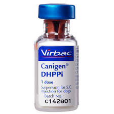 CANIGEN DHPPI 10ds