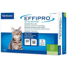 EFFIPRO GATTO 24 PIP