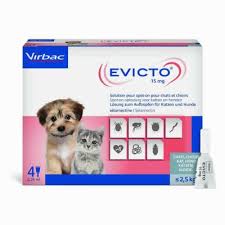 EVICTO 15MG <2.5KG 4PIP 0.25ML