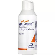 MALASEB SHAMPOO 250ML