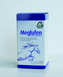 MEGLUFEN 100ML