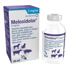 MELOXIDOLOR INJ.20ML CANE/GATTO