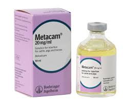 METACAM 100ML INJ. 2%