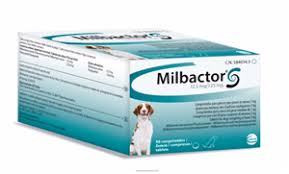 MILBACTOR KITTEN 4/10MG 48CPR