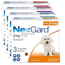 NEXGARD CANE 3CPR 28MG 4-10KG