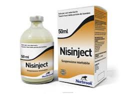NISINJECT 100ML