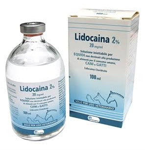 LIDOCAINA 2% 100ml ECUPHAR