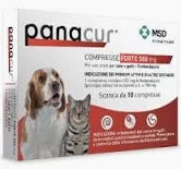PANACUR 10CPR FORTE 500MG