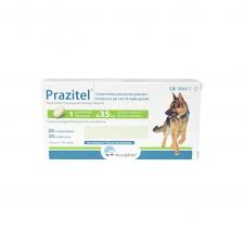 PRAZITEL CANI TG GRANDE 20CPR