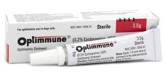 OPTIMMUNE UNGUENTO 3,5G