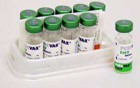 PUREVAX RCPCH FELV 10X1DS