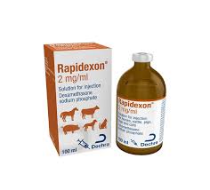 RAPIDEXON 100ML