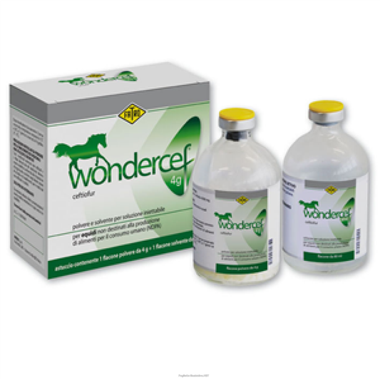 WONDERCEF 4gr EQUINI (2C°- 8C°)